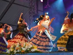 Festival de Folkore en Mula